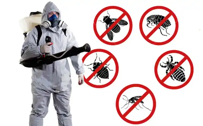 pest control Homeland Park